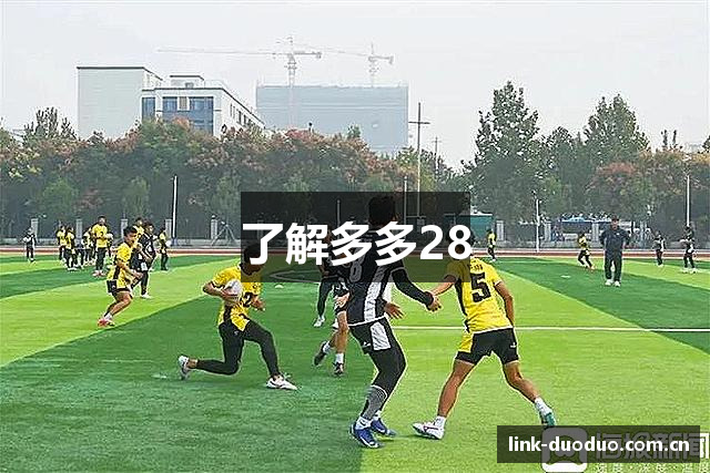 了解多多28